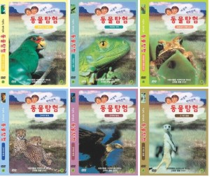 ��ǰ�̹���