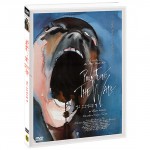 ��ǰ�̹���