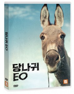 ǰ̹